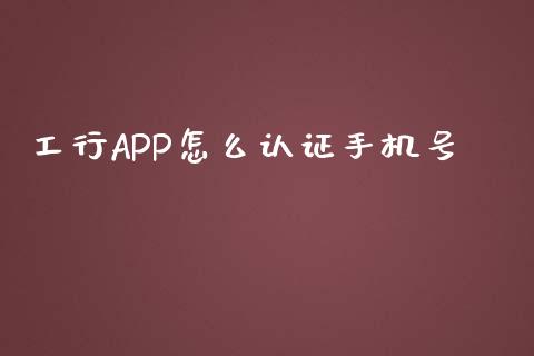 工行APP怎么认证手机号_https://wap.sdxiaoxijinshu.com_金融_第1张