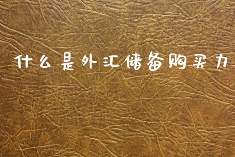 什么是外汇储备购买力_https://wap.sdxiaoxijinshu.com_金融_第1张