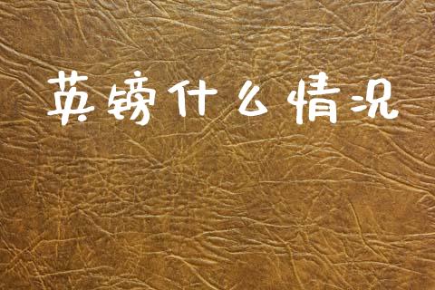 英镑什么情况_https://wap.sdxiaoxijinshu.com_财经_第1张