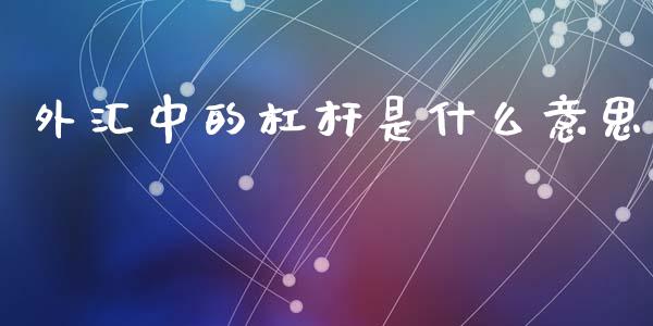 外汇中的杠杆是什么意思_https://wap.sdxiaoxijinshu.com_财经_第1张
