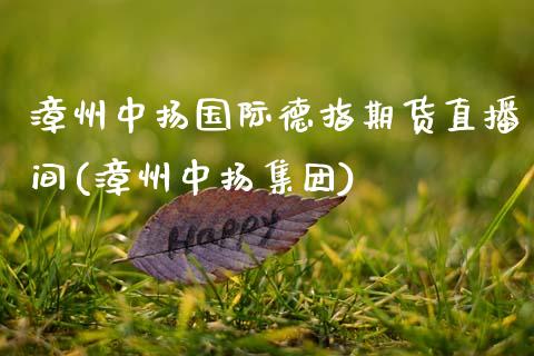 漳州中扬国际德指期货直播间(漳州中扬集团)_https://wap.sdxiaoxijinshu.com_财经_第1张