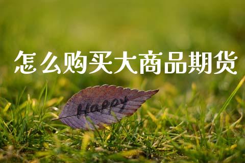 怎么购买大商品期货_https://wap.sdxiaoxijinshu.com_期货_第1张