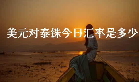 美元对泰铢今日汇率是多少_https://wap.sdxiaoxijinshu.com_财经_第1张