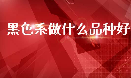 黑色系做什么品种好_https://wap.sdxiaoxijinshu.com_期货_第1张