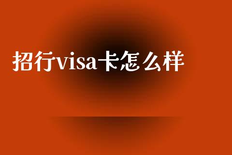 招行visa卡怎么样_https://wap.sdxiaoxijinshu.com_金融_第1张