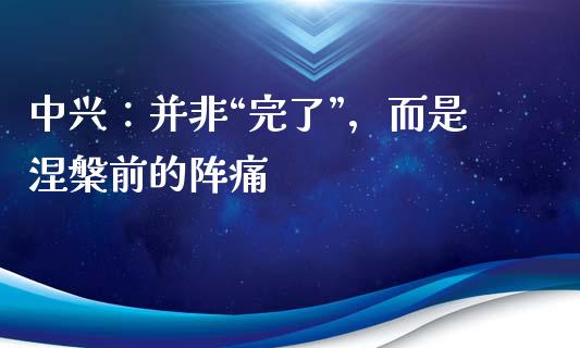 中兴：并非“完了”，而是涅槃前的阵痛_https://wap.sdxiaoxijinshu.com_财经_第1张