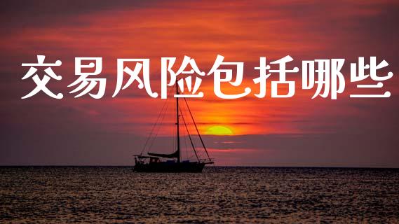 交易风险包括哪些_https://wap.sdxiaoxijinshu.com_财经_第1张