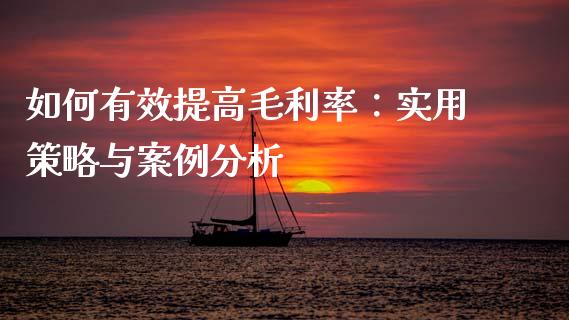 如何有效提高毛利率：实用策略与案例分析_https://wap.sdxiaoxijinshu.com_金融_第1张