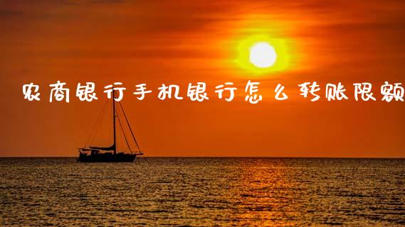 农商银行手机银行怎么转账限额_https://wap.sdxiaoxijinshu.com_金融_第1张
