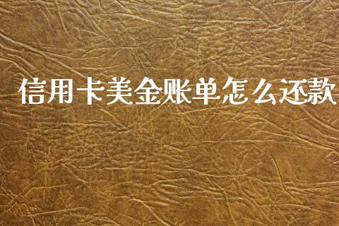 信用卡美金账单怎么还款_https://wap.sdxiaoxijinshu.com_金融_第1张