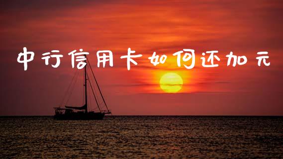 中行信用卡如何还加元_https://wap.sdxiaoxijinshu.com_财经_第1张