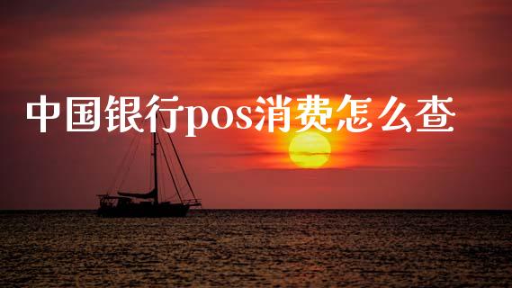 中国银行pos消费怎么查_https://wap.sdxiaoxijinshu.com_期货_第1张