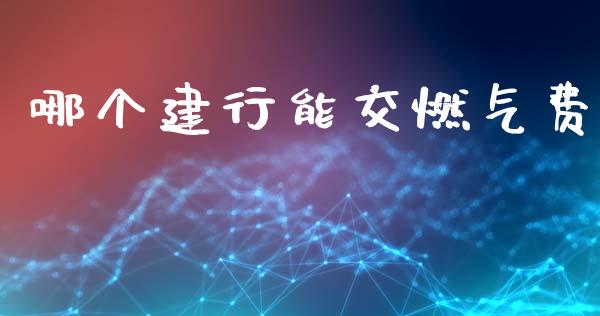 哪个建行能交燃气费_https://wap.sdxiaoxijinshu.com_理财_第1张