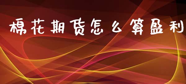棉花期货怎么算盈利_https://wap.sdxiaoxijinshu.com_期货_第1张