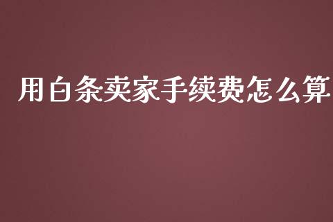 用白条卖家手续费怎么算_https://wap.sdxiaoxijinshu.com_理财_第1张