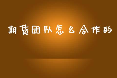 期货团队怎么合作的_https://wap.sdxiaoxijinshu.com_期货_第1张