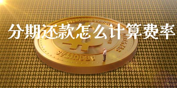 分期还款怎么计算费率_https://wap.sdxiaoxijinshu.com_金融_第1张