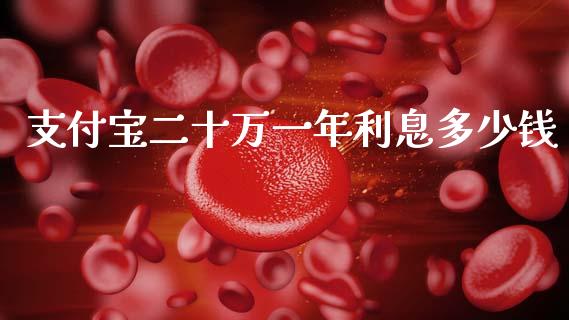支付宝二十万一年利息多少钱_https://wap.sdxiaoxijinshu.com_理财_第1张