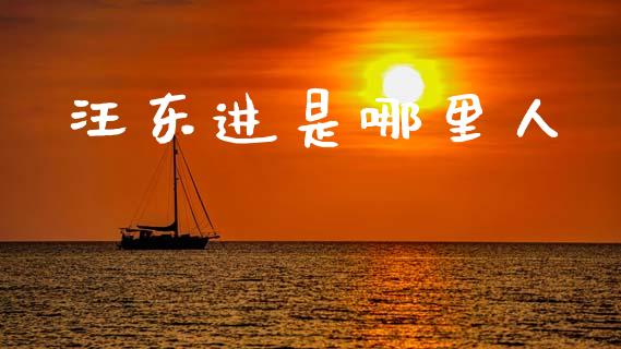 汪东进是哪里人_https://wap.sdxiaoxijinshu.com_理财_第1张