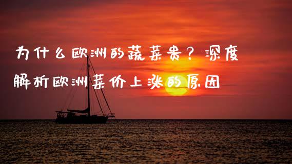 为什么欧洲的蔬菜贵?深度解析欧洲菜价上涨的原因_金融_第1张_金融万问站 为什么欧洲的蔬菜贵?深度解析欧洲菜价上涨的原因_https://wap.sdxiaoxijinshu.com_金融_第1张
