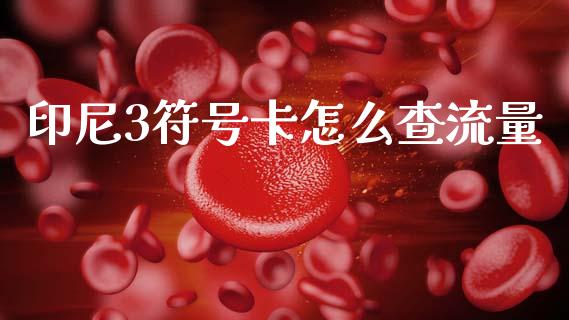 印尼3符号卡怎么查流量_https://wap.sdxiaoxijinshu.com_财经_第1张