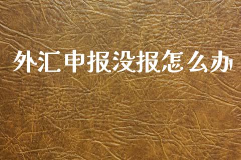 外汇申报没报怎么办_https://wap.sdxiaoxijinshu.com_财经_第1张