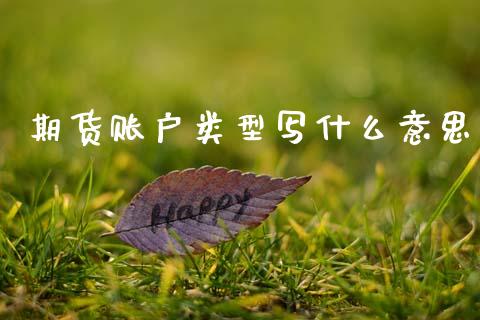 期货账户类型写什么意思_https://wap.sdxiaoxijinshu.com_期货_第1张