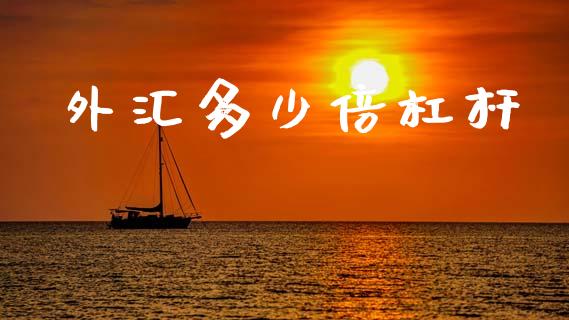 外汇多少倍杠杆_https://wap.sdxiaoxijinshu.com_财经_第1张