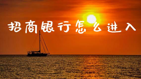 招商银行怎么进入_https://wap.sdxiaoxijinshu.com_金融_第1张