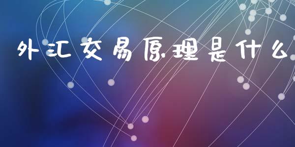 外汇交易原理是什么_https://wap.sdxiaoxijinshu.com_财经_第1张