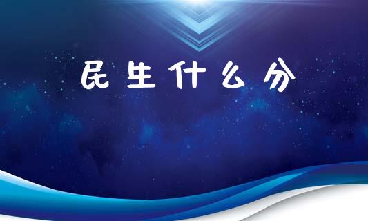 民生什么分_https://wap.sdxiaoxijinshu.com_金融_第1张
