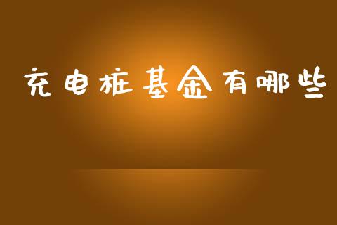充电桩基金有哪些_https://wap.sdxiaoxijinshu.com_期货_第1张