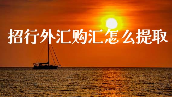 招行外汇购汇怎么提取_https://wap.sdxiaoxijinshu.com_金融_第1张
