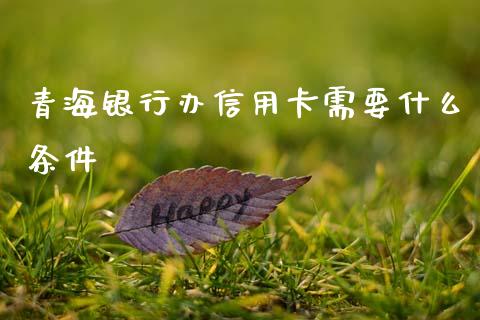 青海银行办信用卡需要什么条件_https://wap.sdxiaoxijinshu.com_金融_第1张