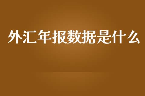 外汇年报数据是什么_https://wap.sdxiaoxijinshu.com_财经_第1张