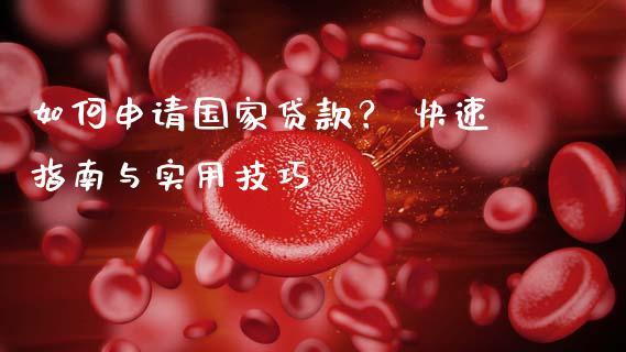 如何申请国家贷款？ 快速指南与实用技巧_https://wap.sdxiaoxijinshu.com_财经_第1张