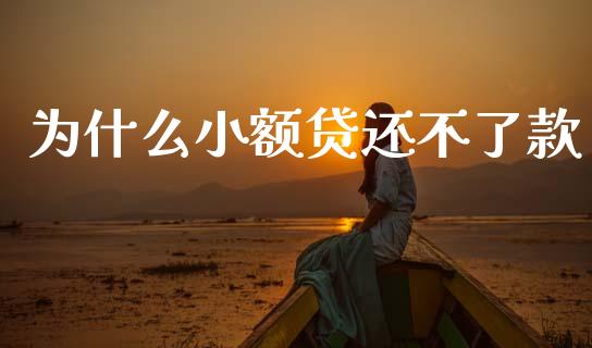 为什么小额贷还不了款_https://wap.sdxiaoxijinshu.com_理财_第1张