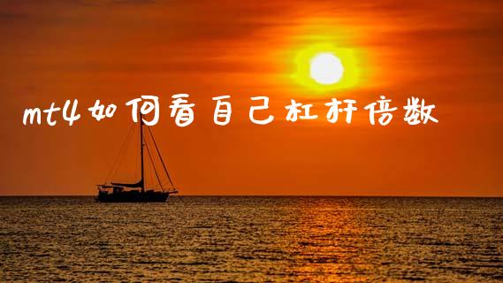 mt4如何看自己杠杆倍数_https://wap.sdxiaoxijinshu.com_财经_第1张