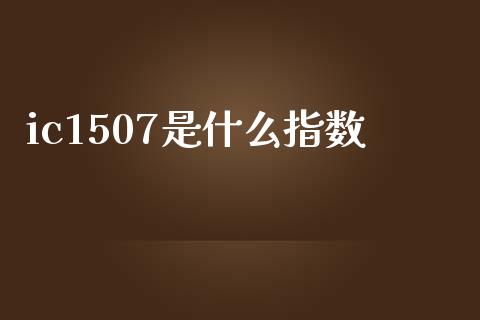 ic1507是什么指数_https://wap.sdxiaoxijinshu.com_金融_第1张