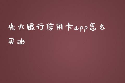 光大银行信用卡app怎么买油_https://wap.sdxiaoxijinshu.com_金融_第1张