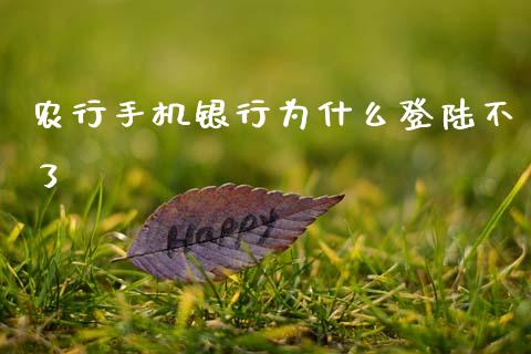 农行手机银行为什么登陆不了_https://wap.sdxiaoxijinshu.com_期货_第1张