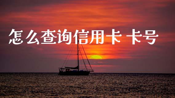 怎么查询信用卡 卡号_https://wap.sdxiaoxijinshu.com_金融_第1张