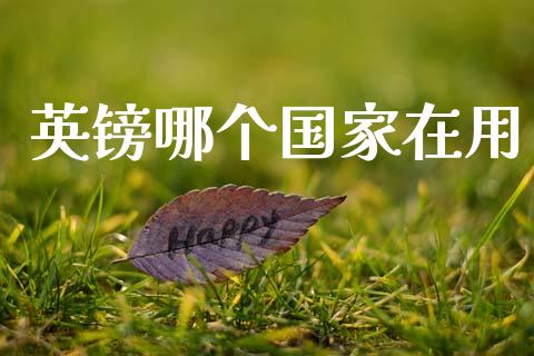 英镑哪个国家在用_https://wap.sdxiaoxijinshu.com_财经_第1张