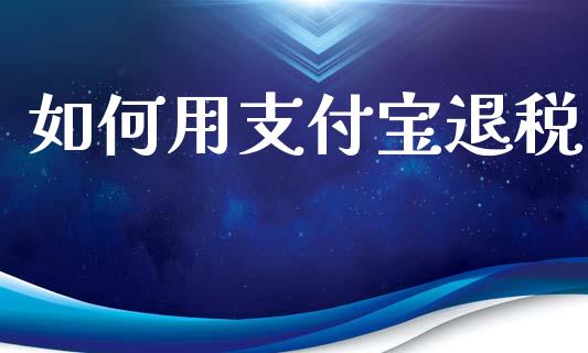 如何用支付宝退税_https://wap.sdxiaoxijinshu.com_期货_第1张