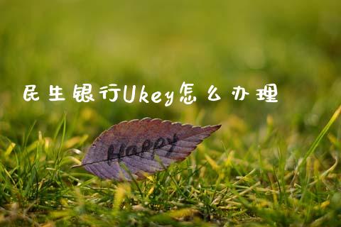 民生银行Ukey怎么办理_https://wap.sdxiaoxijinshu.com_金融_第1张