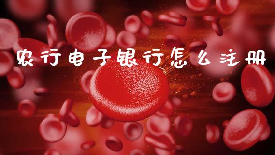 农行电子银行怎么注册_https://wap.sdxiaoxijinshu.com_金融_第1张