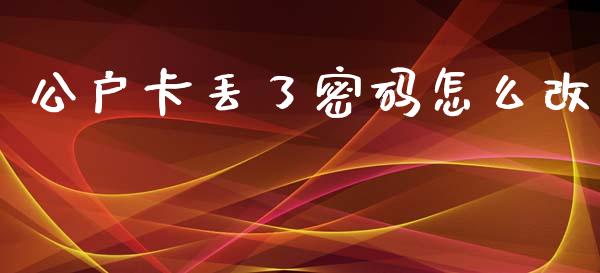 公户卡丢了密码怎么改_https://wap.sdxiaoxijinshu.com_金融_第1张