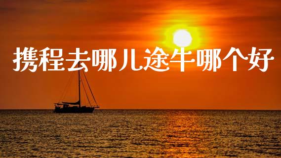 携程去哪儿途牛哪个好_https://wap.sdxiaoxijinshu.com_期货_第1张