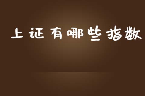 上证有哪些指数_https://wap.sdxiaoxijinshu.com_财经_第1张