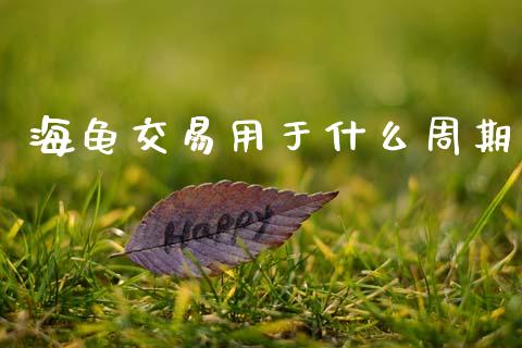 海龟交易用于什么周期_https://wap.sdxiaoxijinshu.com_期货_第1张